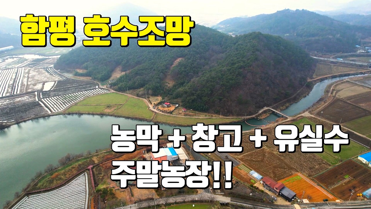 전남토지매매 #1503 함평군 신광면 호숫가 옆! 농막·유실수 다 포함 306평 주말농장 전원주택 및 주말농장 부지