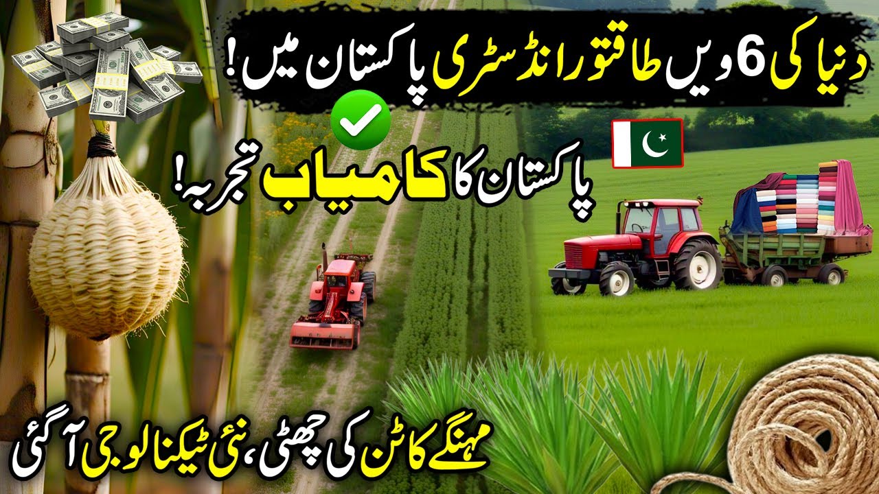Sisal Farming | Golden Revolution in Pakistan | Natural Potential Fiber | Kissan Ka Pakistan