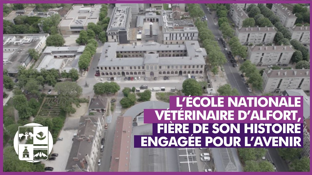 Découvrez l'École nationale vétérinaire d'Alfort - 2023