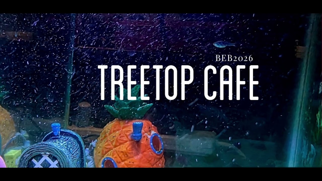 Tree Top Café 