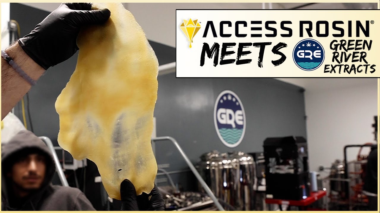 Scale Solvent-less: Access Rosin&reg; MEETS Green River Extracts
