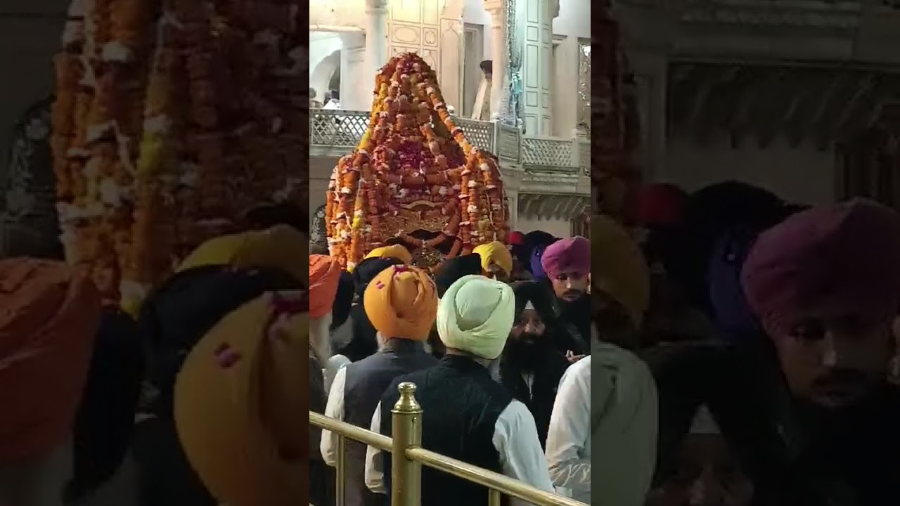 Palki Darshan Amritsar 🙏Prabh Harmandir Sohna 🙏🚩🌹