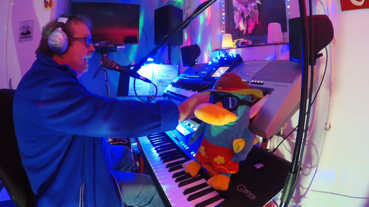 Der Junge mit der Mundharmonica.-Danny Fehrenbach --LIVE