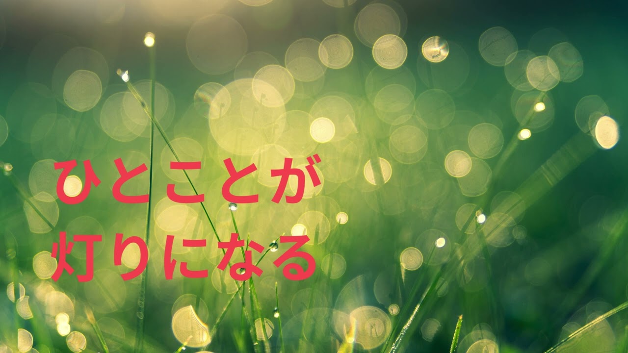 ひとことが灯りになる