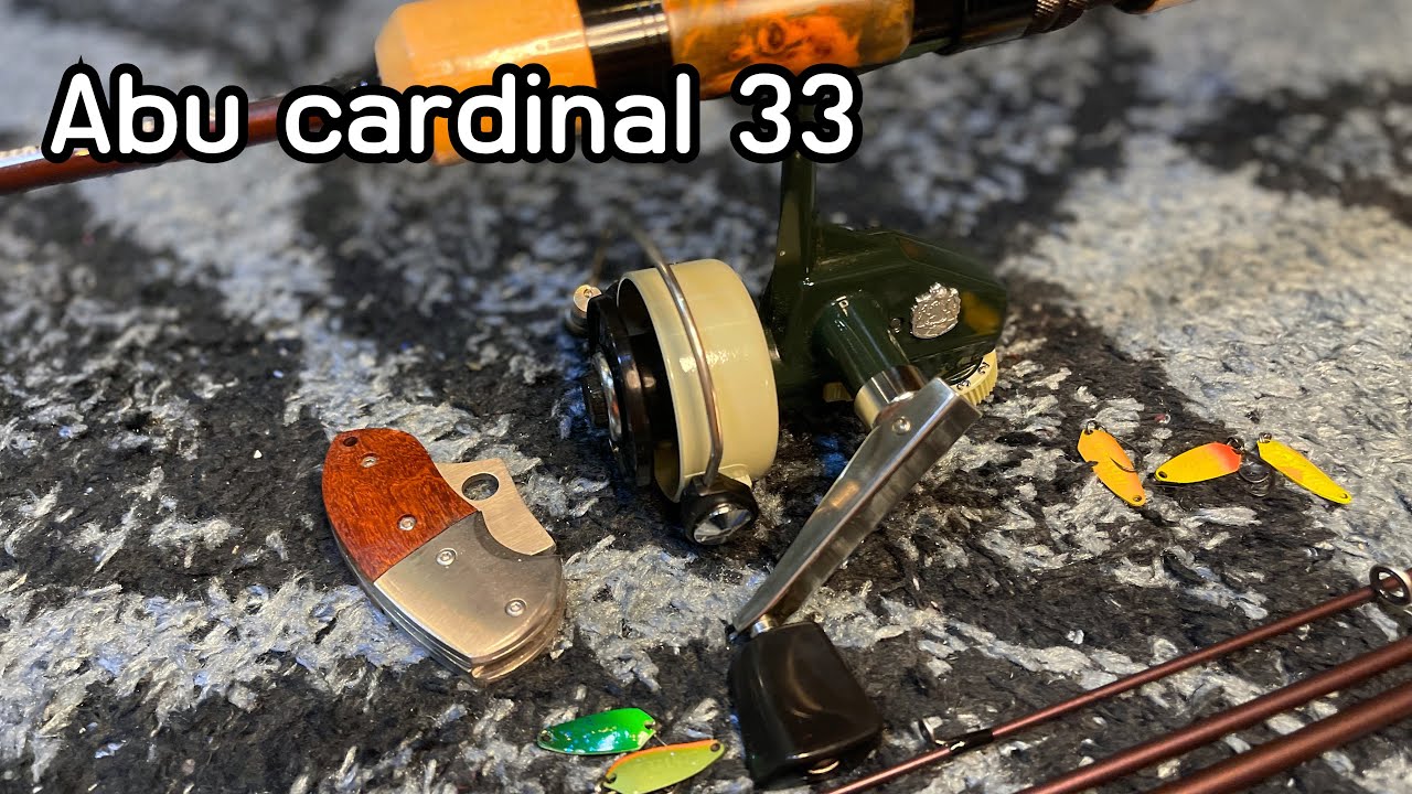 Abu Cardinal 33 l ขออภัยมือใหม่หัดแก่ l #แจ่มจรัส  EP.43
