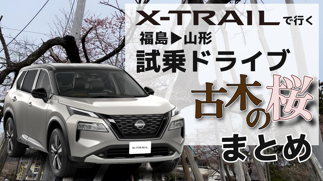 【伊佐沢の久保ザクラ】一般道と高速道路を走って燃費計測【新型エクストレイル試乗｜まとめ】