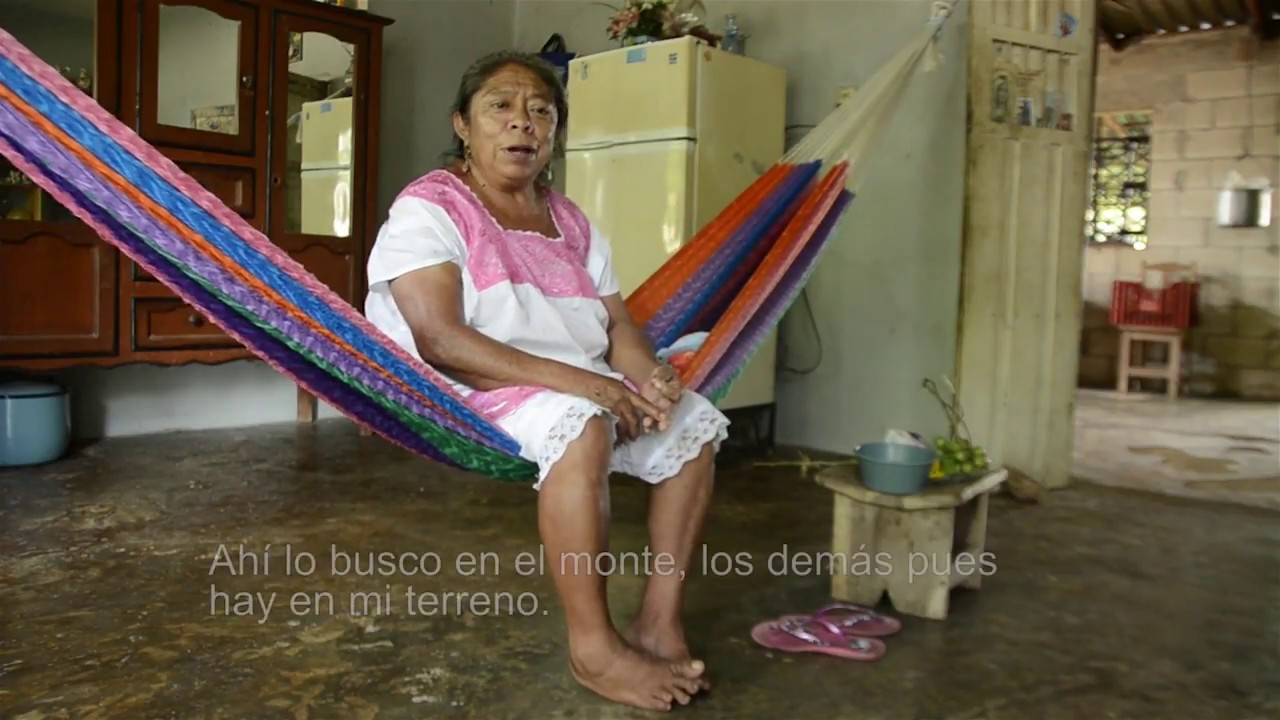 Rosal&iacute;a y su amor por las plantas