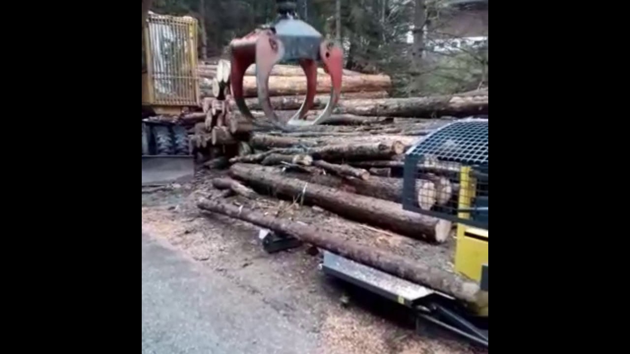Brennholz machen mit Regon 3 Spaltautomaten 🌲
