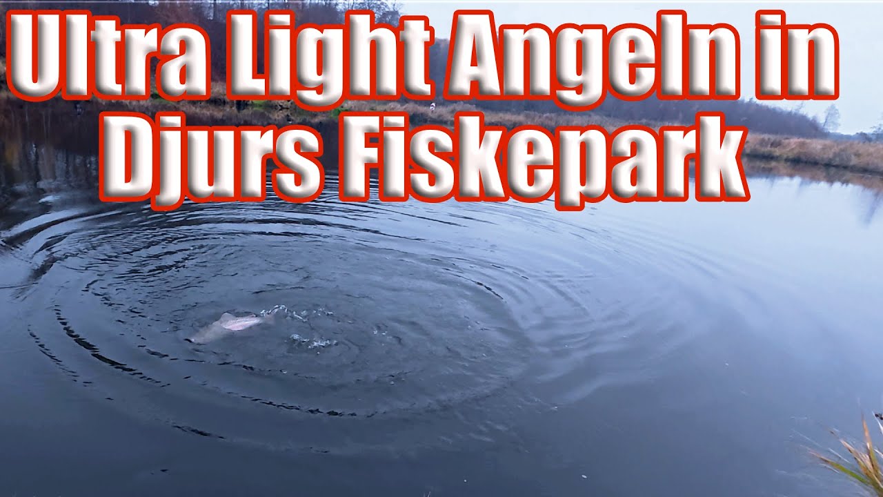 Ultra Light Angeln in Dänemark an der Anlage Djurs Fiskepark