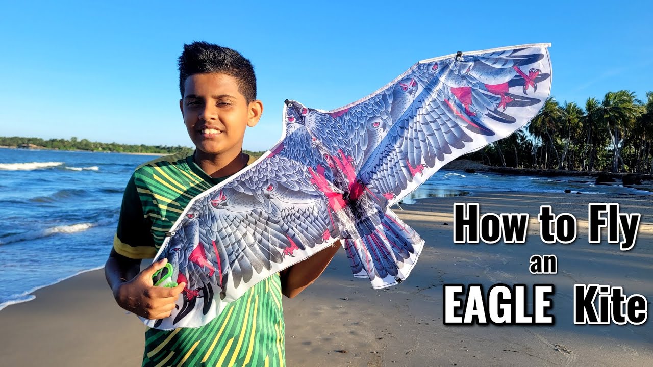 Learn How to Fly a EAGLE KITE For Beginners in Just 2 Minutes?