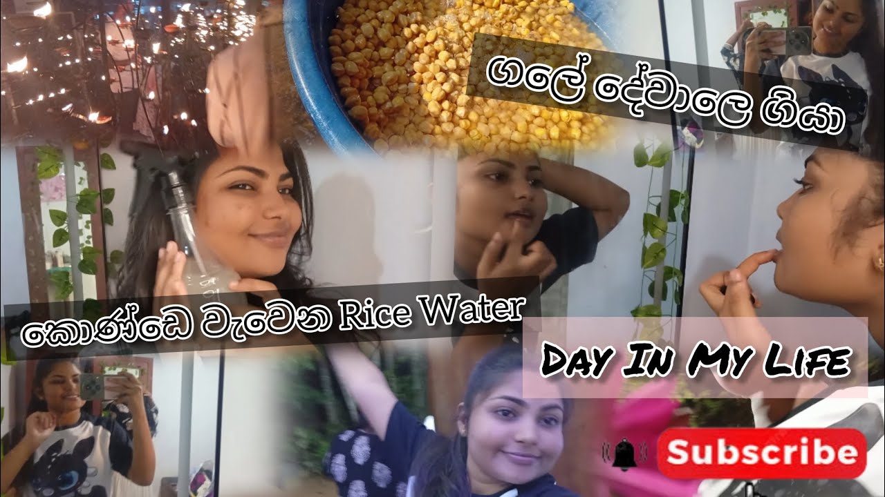 හාල් වතුර වලින් කොණ්ඩෙ වවන්නෙ මෙහෙමයි✨️ | ගලේ දේවාලෙ ගියා🙏🤍 | Day Vlog | #haircare #hairgrowth 