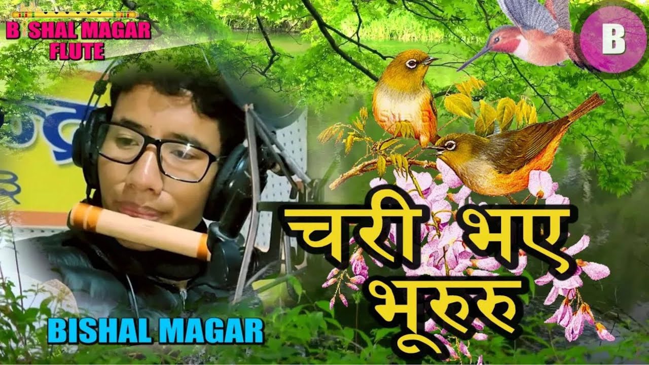 माथि माथि हिमाली भेगमा पुर्बेली बासुरी धुन..बिशाल मगर