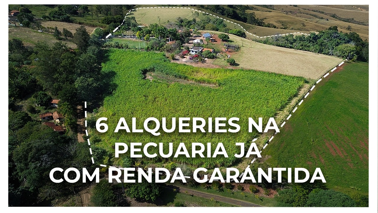 Sitio a venda no município de Siqueira Campos Norte Pioneiro do Paraná