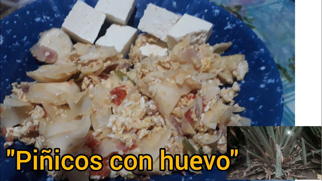 COMO HACER PIÑICOS CON HUEVO...