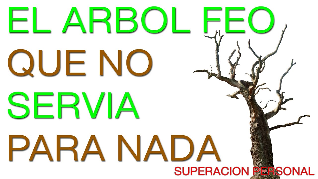 Superacion Personal y Autoestima - Motivacion en Español
