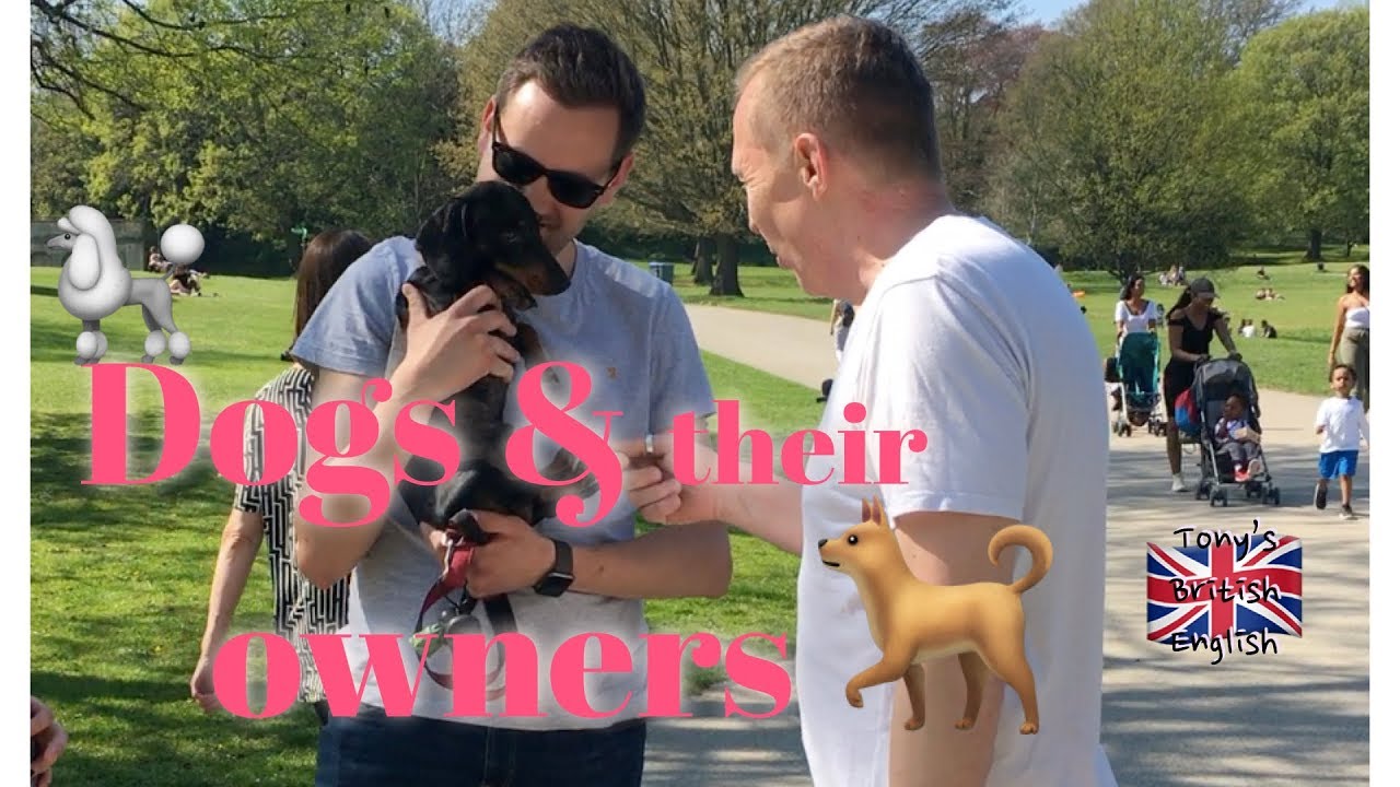 可愛過ぎる犬ちゃん（Dogs & their owners ）