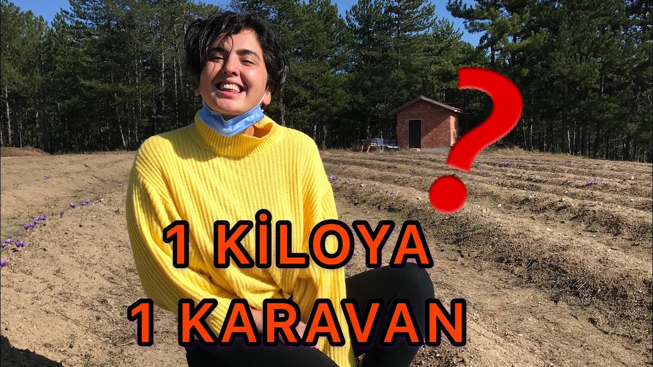 FRANSIZ REHBERLE KİLOSU 40.000 TL OLAN SAFRAN ÇİÇEĞİ ÇİFTLİĞİNE GİTTİM !