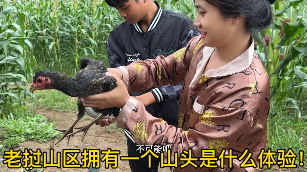 老挝山区拥有一个山头是什么体验