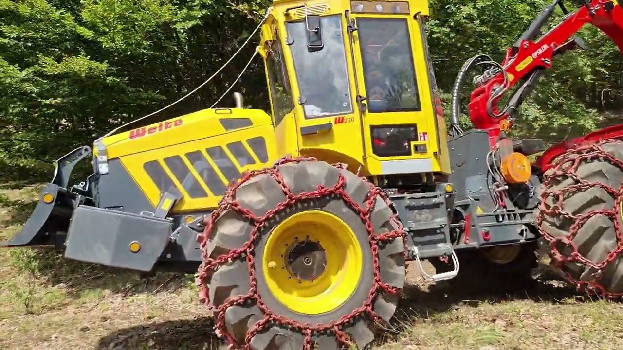 WELTE W230