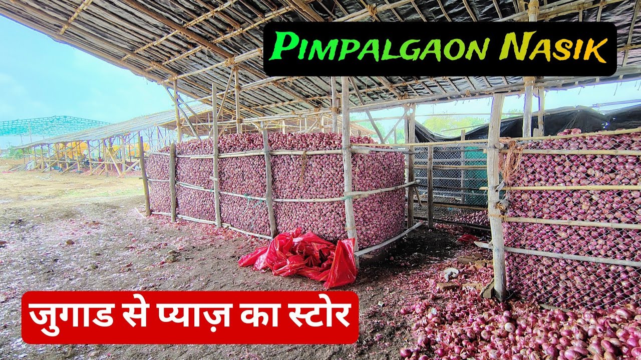 Onion Storage System | Pimpalgaon Nasik में प्याज कैसे रखा जाता है | Onion Storage Structure