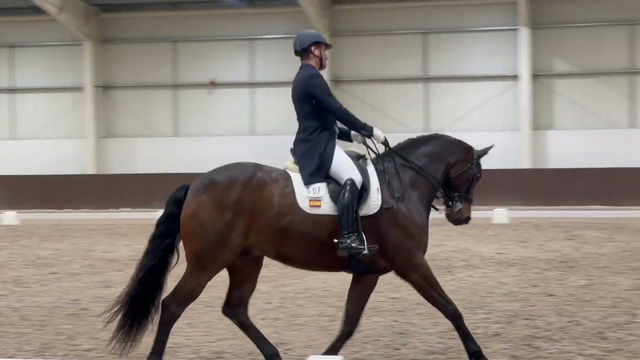 Wasryw CDI1* Addington March 2024 Inter 1 - 67,255%