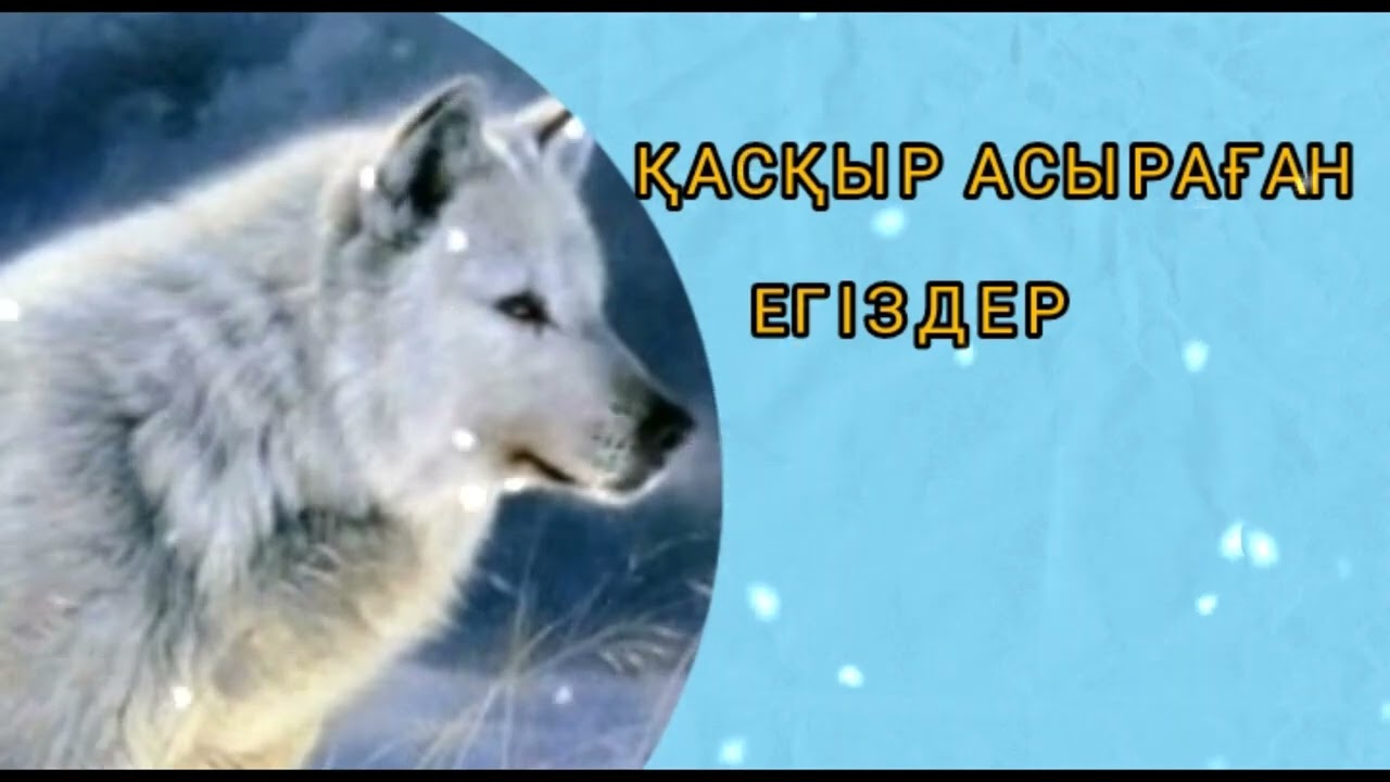 ҚАСҚЫР АСЫРАҒАН ЕГІЗДЕР / ӘСЕРЛІ ӘҢГІМЕ 