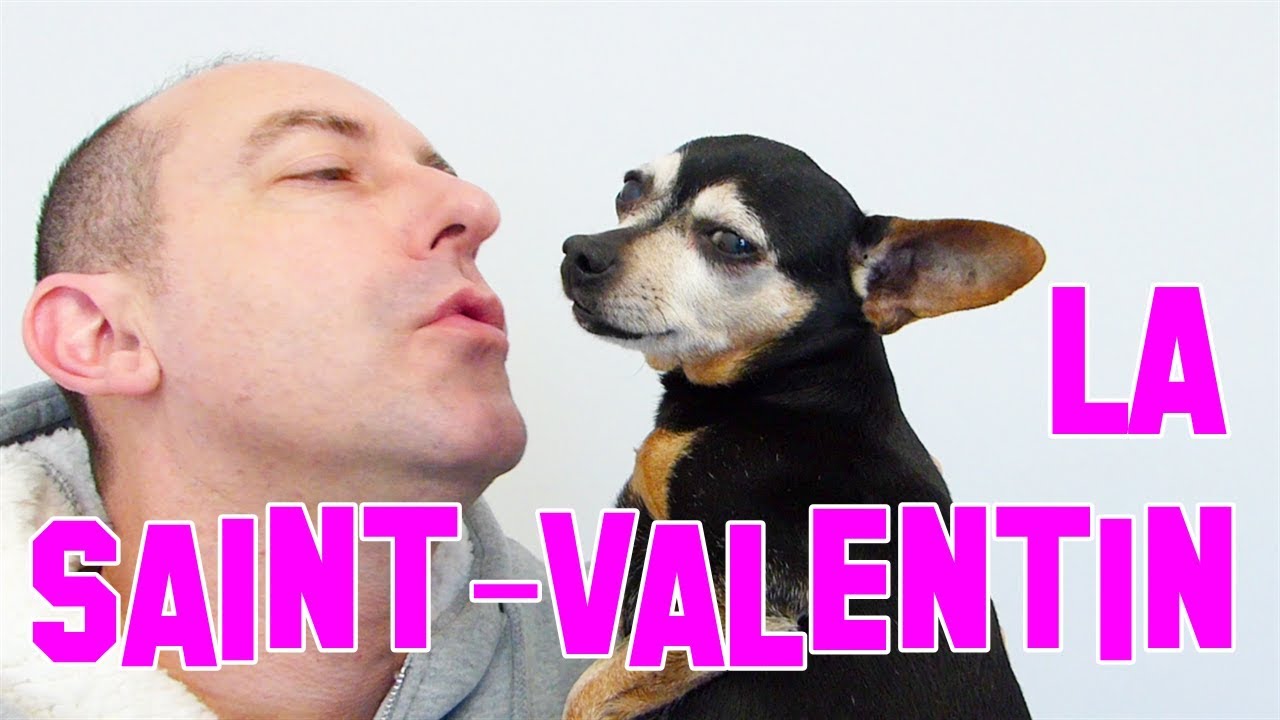 La Saint Valentin - FREDMAN