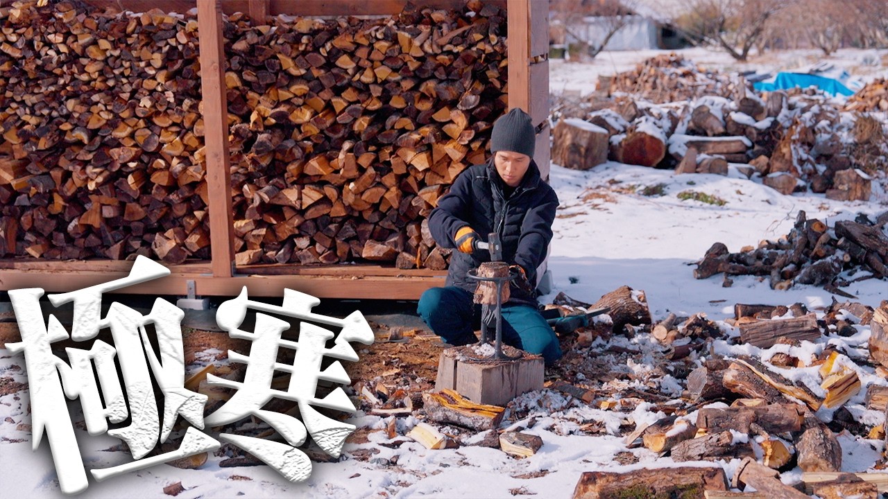 【大苦戦】3日がかりの薪作り…大雪も降り…一体片付くのか…? #712