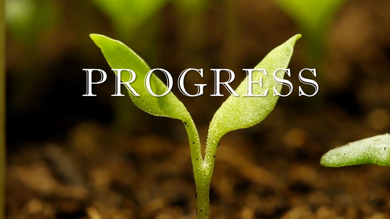 PROGRESS (The Mother's Twelve Qualities Series)