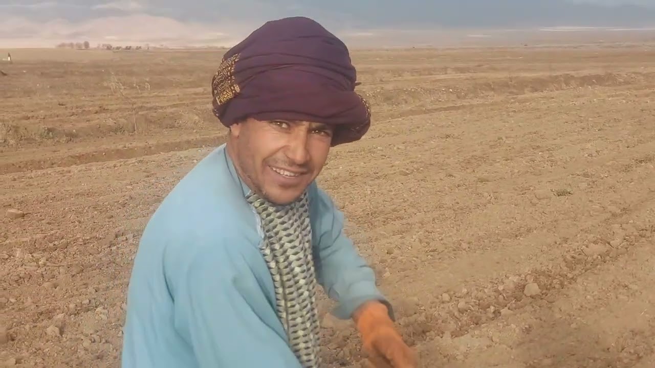 آمادگی دهقانان برای کشت گندم 
