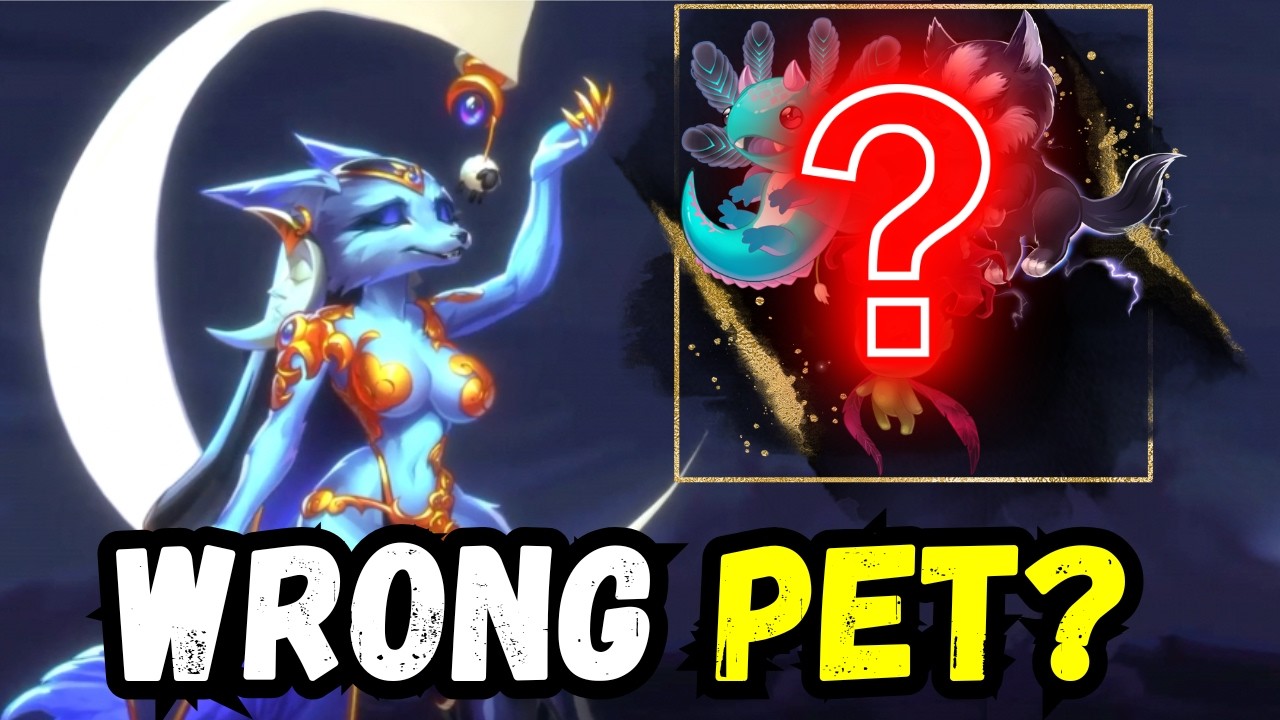 What Hero Wars Players Get Wrong About Somna Pets
