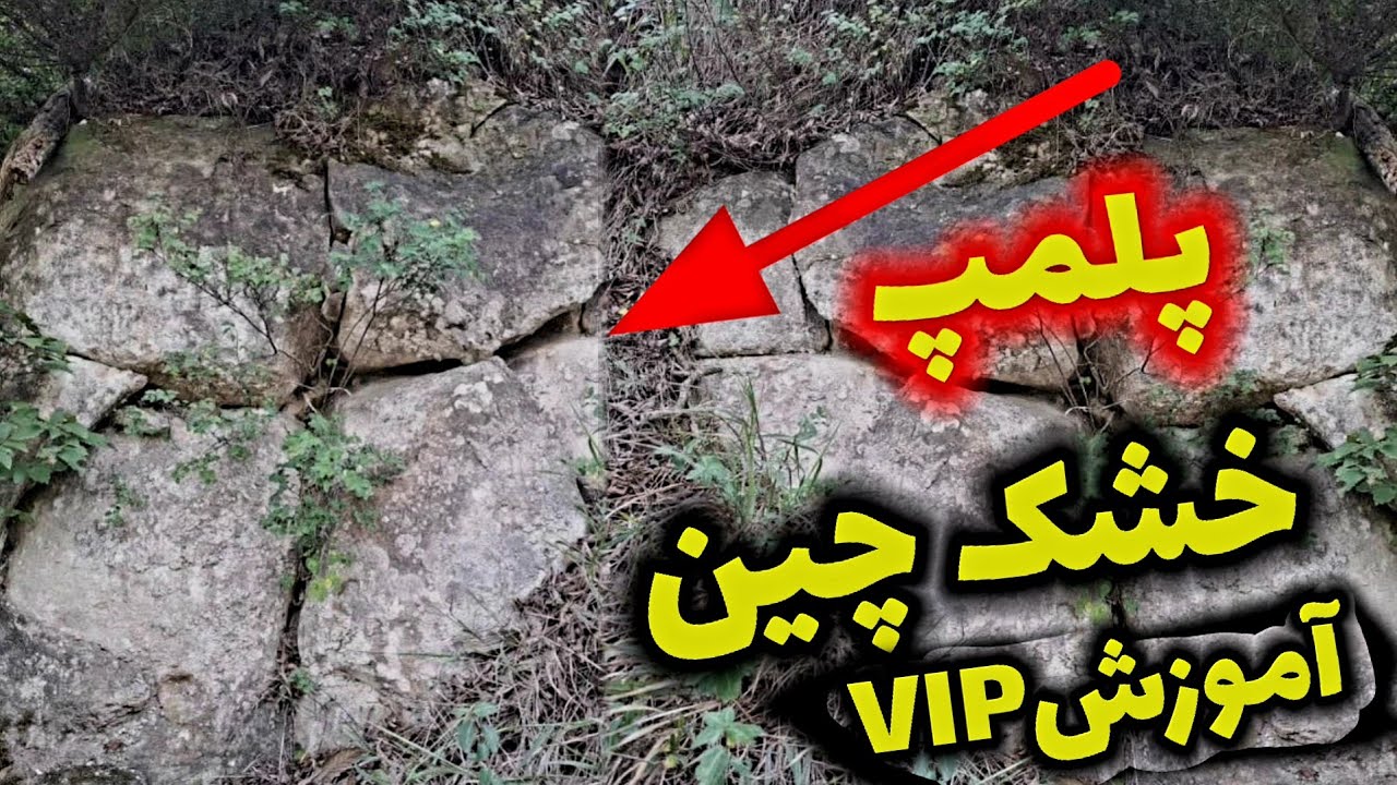 پلمپ خشک چین گنج