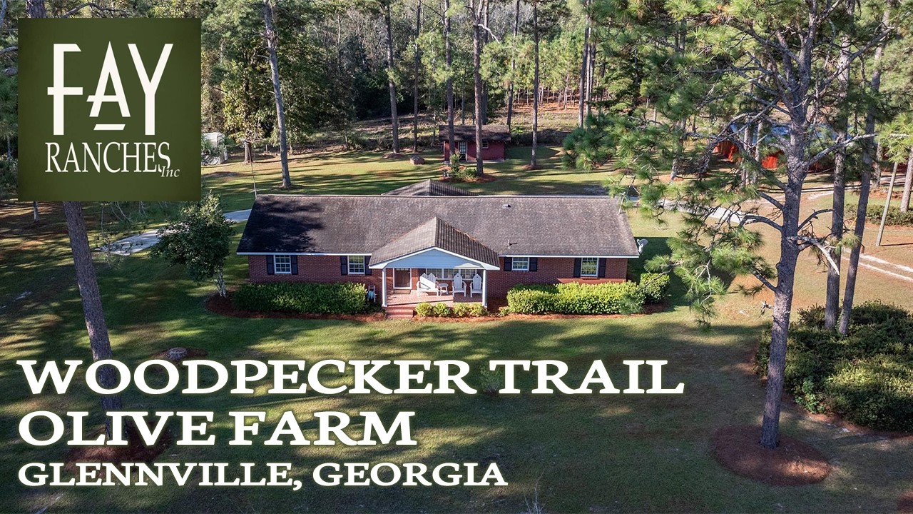 Georgia Farm For Sale | Woodpecker Trail Olive Farm | Glennville, GA