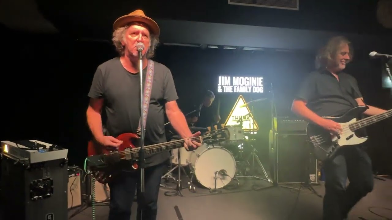 Sunny Boy - Jim Moginie and the Family Dog