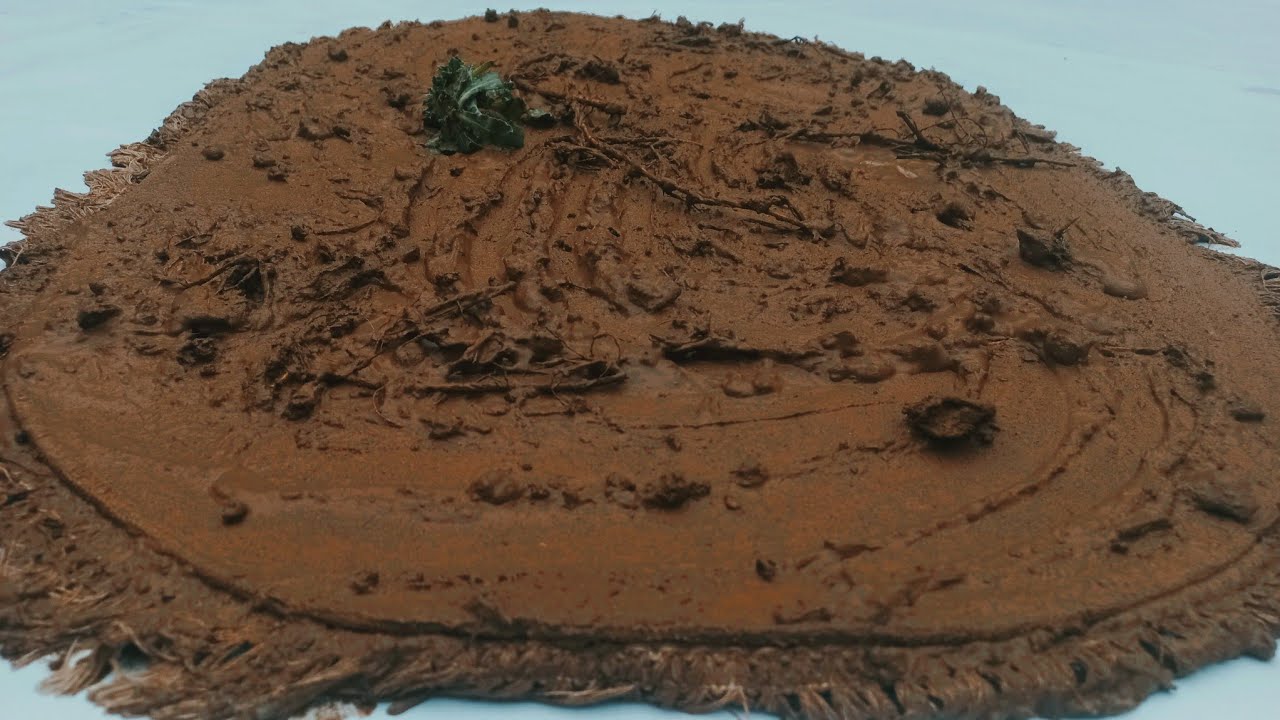 Never seen such a dirty carpet - brown water almost like mud was constantly flowing(ASMR)