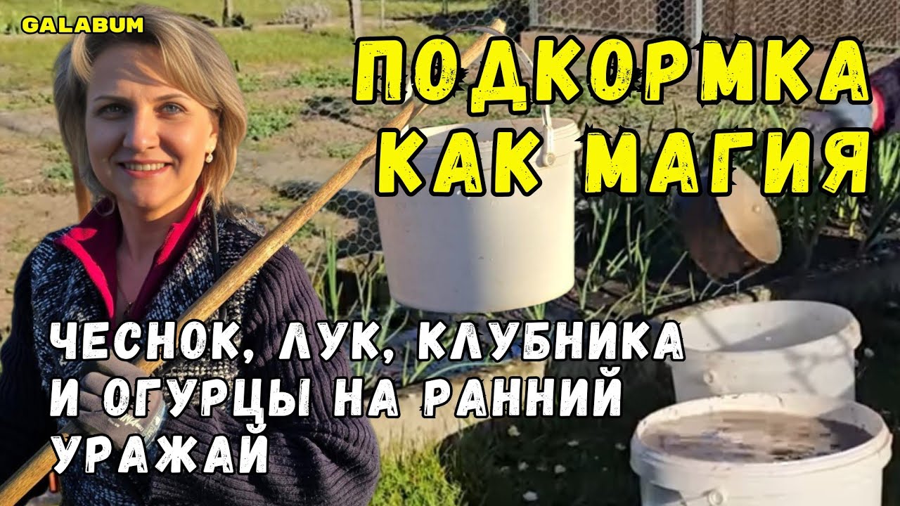 Как Правильно Подкормить Лук и Чеснок Весной для СУПЕР Урожая! / Дачные Хлопоты в Холодный День
