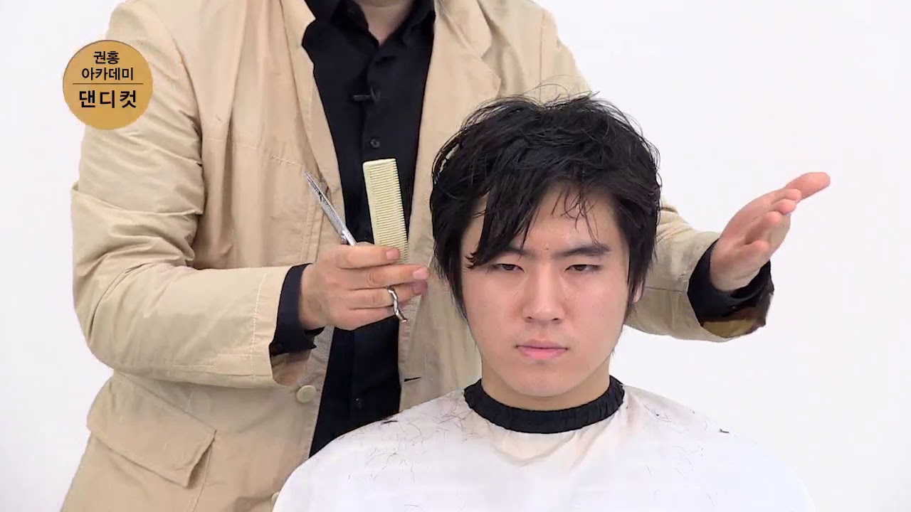 댄디컷