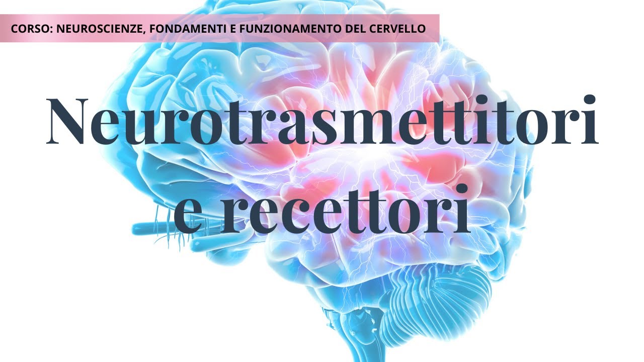 Neurotrasmettitori e recettori | Lezione 2E