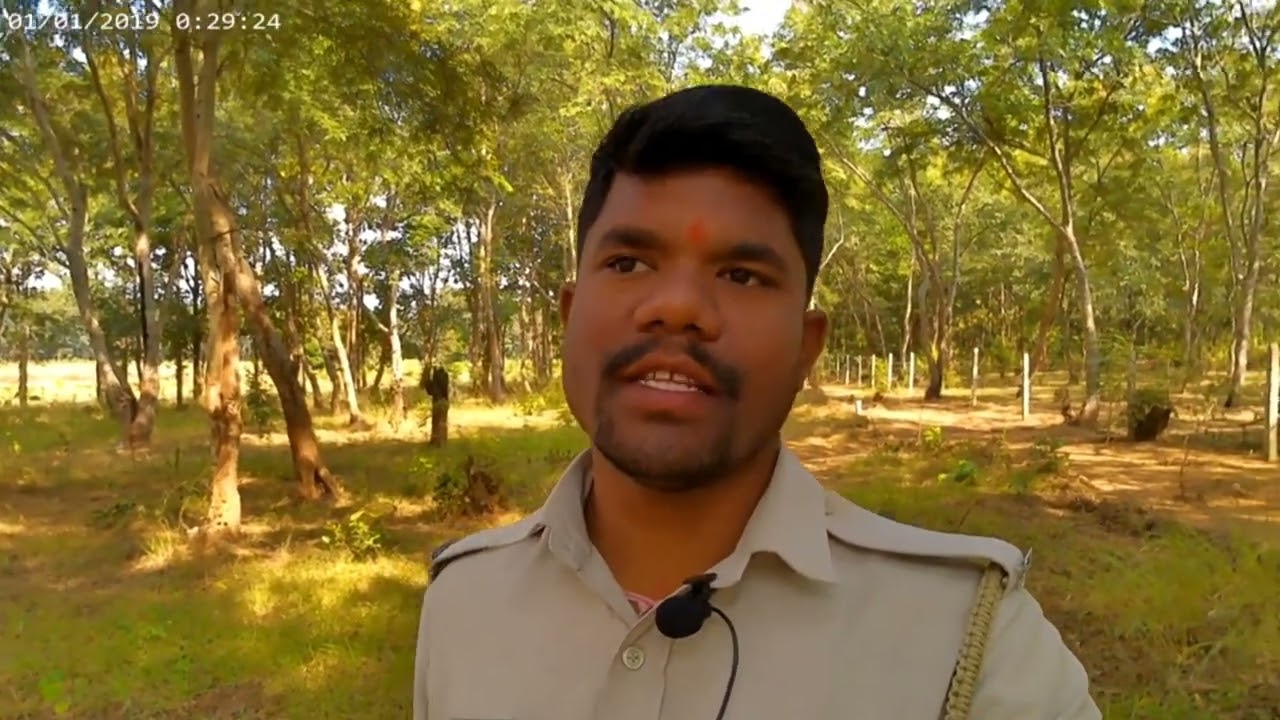 FOREST GUARD LIFE II ODISHA FOREST II 