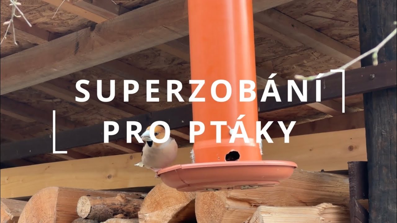 Superzobání pro ptáky