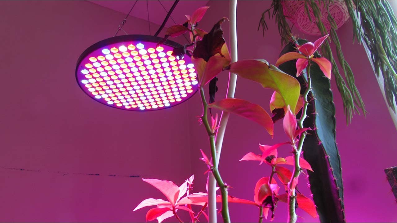 50w LED UFO Grow lights by Mrhua on AMAZON - Review & Update
