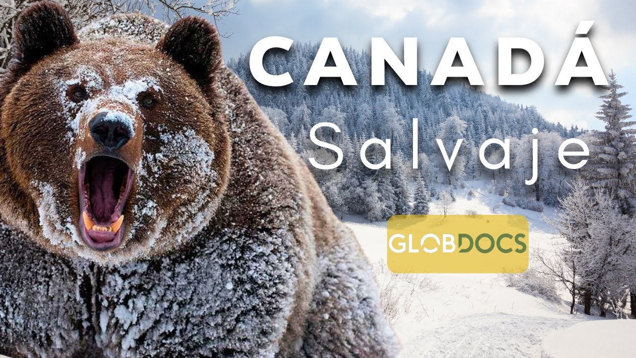 CANAD&Aacute;: Un Territorio Brutal [Documental completo]