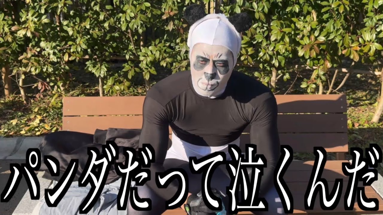 夜蛾がやられて号泣するパンダ【呪術廻戦死滅回游】#泣くんだ