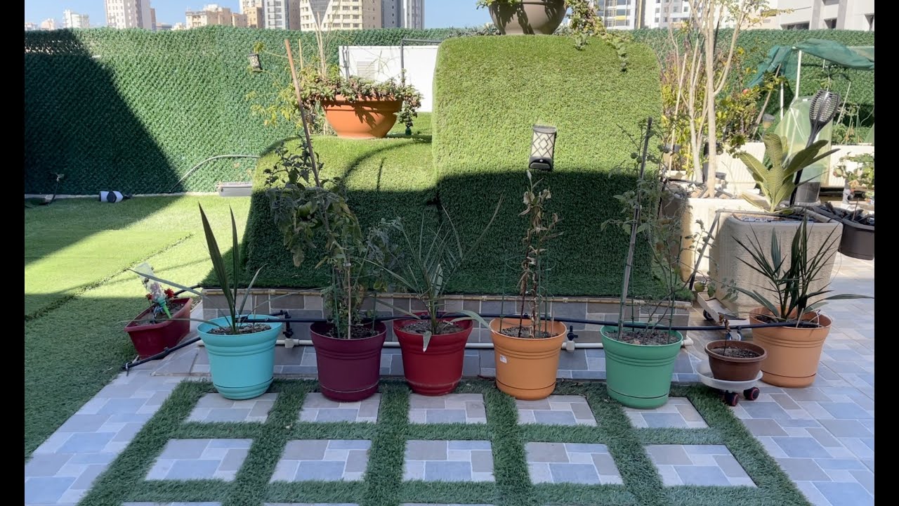 جوله في حديقتي الصغيرة / نبذة عن حديقتي الصغيرة ( في النهار ) / Touring in my little garden KW