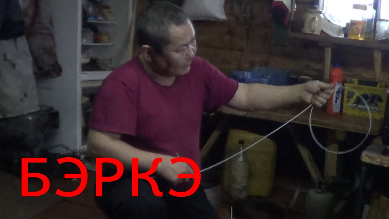 Тунгусская завязка петли на волка.