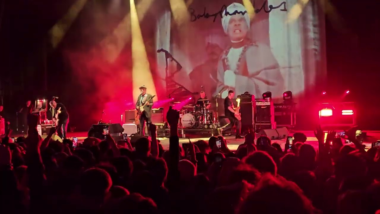 Babyshambles - Carry On Up The Morning