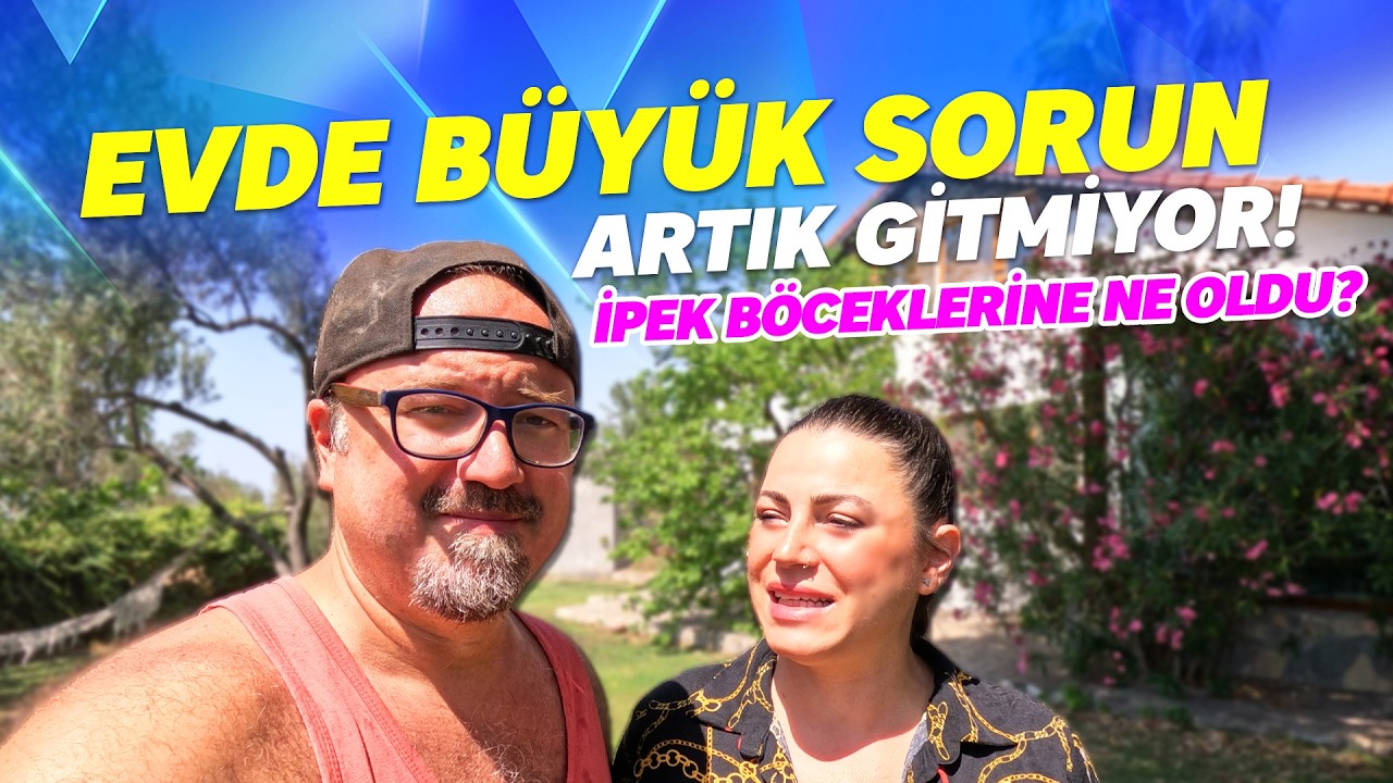 KÖY EVİMİZDE BÜYÜK SORUN - İpek Böcekleri Ne Oldu? VLOG (Ege'ye Göç, Köy Hayatı)