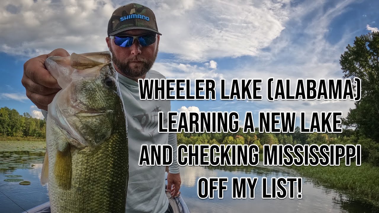 Fishing Wheeler Lake in Alabama - EXTREMELY TOUGH Conditions!!