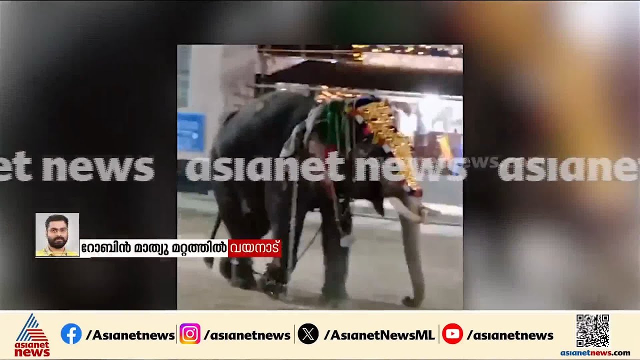 പുൽപ്പള്ളി സീതാദേവി ക്ഷേത്രത്തിൽ ഉത്സവത്തിനിടെ ആന ഇടഞ്ഞു; രണ്ട് പാപ്പാന്മാർക്ക് പരിക്ക് | Elephant