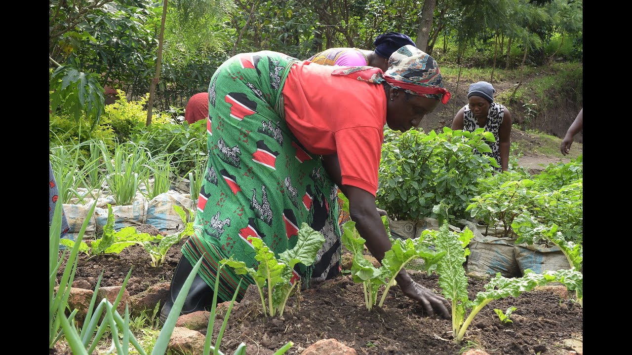 Community Agroecology Schools: Improving Small-scale Farmers' Livelihoods in Kasese District
